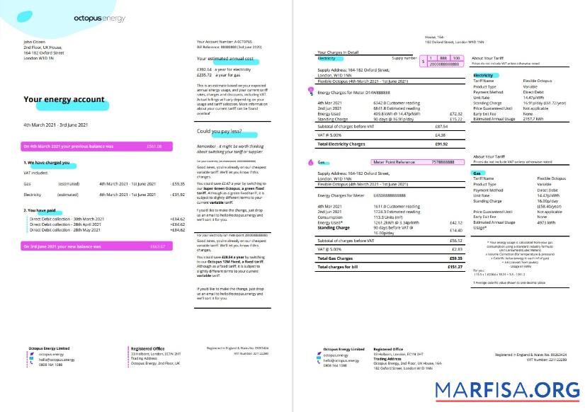 Realistic United Kingdom Octopus Energy utility bill template in Word and PDF format, 3 pages 1 2